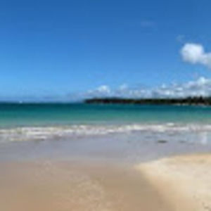 Meet your Posher, Bernys